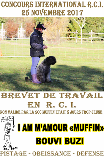 MUFFIN Brevet de Chien de defense en RCI 17 non valide 5 jours trop jeune